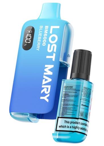 Lost Mary BM6000 Blueberry Disposable | FREESMO smoke-free products, free  shipping!